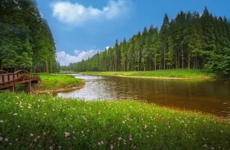 ֘IB