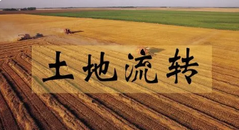 D(zhun)