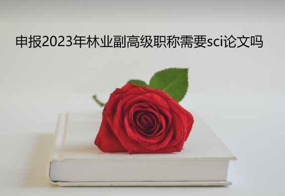2023֘I(y)߼QҪsciՓĆ