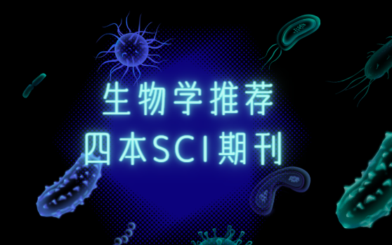 W(xu)sciڿ