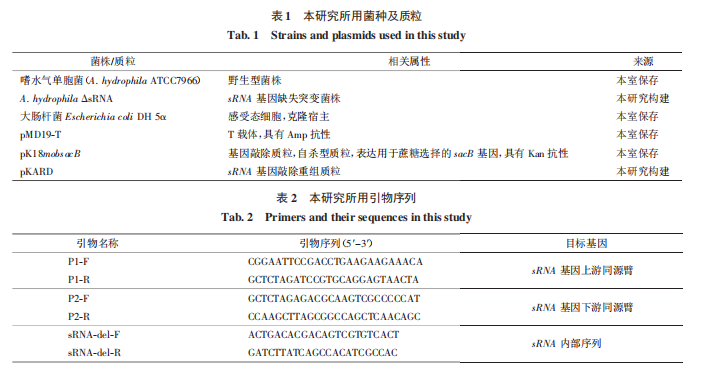 本研究所用菌種及質粒