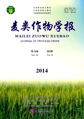 W(xu)(bo)