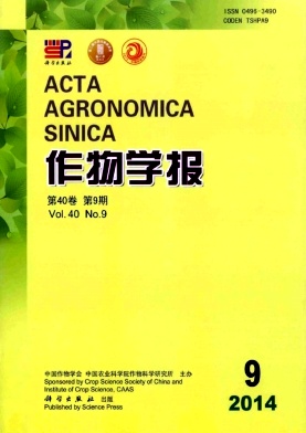 W(xu)(bo)