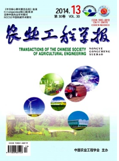 rǏW