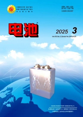 電池雜志