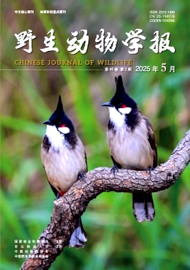 野生動(dòng)物學(xué)報(bào)雜志