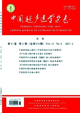 中國超聲醫學雜志