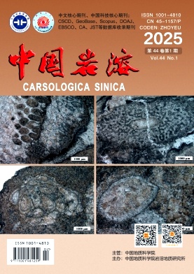 中國巖溶雜志