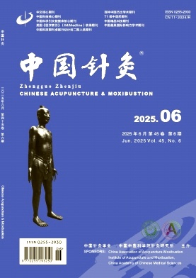 中國針灸雜志