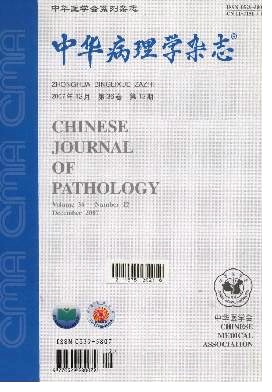 中華病理學雜志