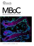 MOLECULAR BIOLOGY OF THE CELL