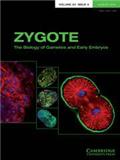 ZYGOTE